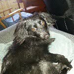 Aimee Bailey - @thumpersmom1372 - Instagram