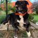 Aimee Bailey - Facebook