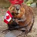 Aime E Bedard - Facebook