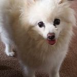 Aimee Benefield - @benefieldaimee - Instagram