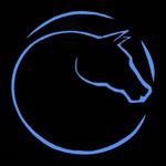Aimee Boyer | Harmony Hill - @harmonyhillfarm - Instagram