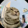 Aimée.Boyer - @patriwyg3lq - TikTok