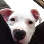 Aimee Branham - @aiml81 - Instagram