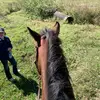 Aimee_buck - @aimeecabassi830 - TikTok
