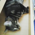 Aimee Clements - @aimeeclements3350 - Instagram