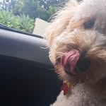 Aimee Cohen - @aimeecohen60 - Instagram