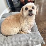 Aimee Cohen Zanan - @alczanan - Instagram