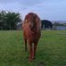 Aimee Crawford - Facebook