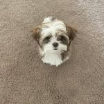 Aimee Davis - @aimdogg4200 - Instagram