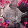 Aimee Davis - @aimee.davis15 - TikTok