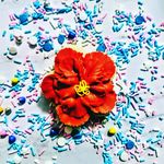 Aimee Edwards - @aimees.cookies.cakes - Instagram