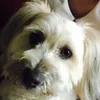 Aimee Elliott - @aimee.elliott06 - TikTok