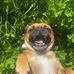 Aimee Gallagher - Facebook