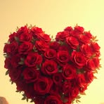 Amy Goldsmith - Facebook