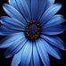 Aimee Goodwin - Facebook