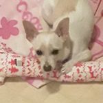 Aimee Goodwin - @aimee.goodwin.5496 - Instagram