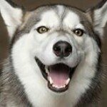 aimee greaves - @aimee2003binx - Instagram