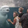 Marian Aimee Grenier - @marian.aimee.gren - TikTok