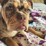 Aimee - @aimeegrieve989 - Instagram