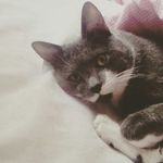 Aimee Campbell Griffiths - @aimeecampbellgriffiths - Instagram