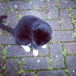 aimee griffiths - @aimeecamp.g - Instagram