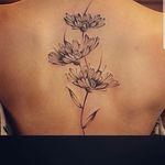 Aimee Grimm - @tatmama17 - Instagram