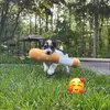 aimeegrimm22 - @aimeegrimm22 - TikTok