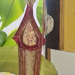 Amy Groth - Facebook