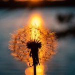 Aimee Grove - @aimee_photography.acc - Instagram