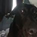 Aimee Grubb - Facebook