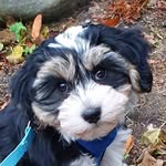Aimee Grzyb - @grzyb.aimee - Instagram