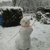 aimee grzyb - @aimeegrzyb5 - TikTok