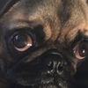 aimee_gunn_ - @aimee_gunn_ - TikTok