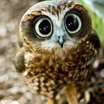 Aimee Guzman - @aimee.monkeylover - Instagram