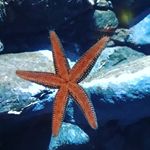 Aimee Hager - @aimee_hager190 - Instagram