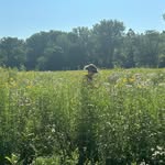 Aimee Noggle Hager - @ahager14 - Instagram