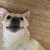 aimeehaley79 - @themagicalsally - TikTok