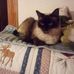 Amy Hammel - Facebook