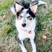 Aimee Hansen - Facebook