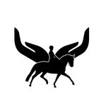 Aimee Harman Horsemanship - @aimeeharmanhorsemanship - Instagram