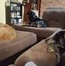 Aimee Henry - Facebook