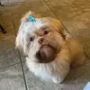 aimeeeliseherring - @aimeeeliseherring - TikTok