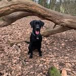 Aimee Hubbard - @aimeehubbard3 - Instagram