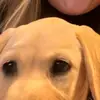 Aimee Huff - @aimee.huff0 - TikTok