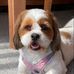 Aimee Hudson - Facebook