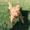 aimee - @aimee.hyde - TikTok