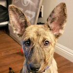 aimee james-stecker - @aimeejamesstecker - Instagram