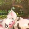 Aimee Kellermann - @aimee.kellermann2 - TikTok