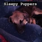 Aimee Kinney - @leo_thebowlingdevil - Instagram