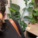 Aimee | Law Student Life - @studybyaims - Instagram
